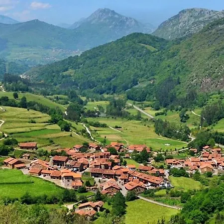 Apartment Crasula Viernoles